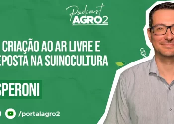 Podcast com Marcos Speroni