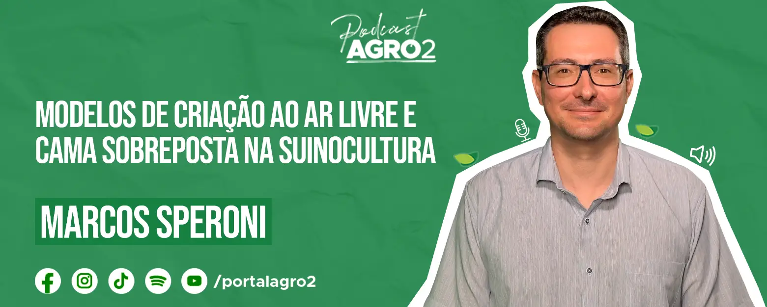 Podcast com Marcos Speroni