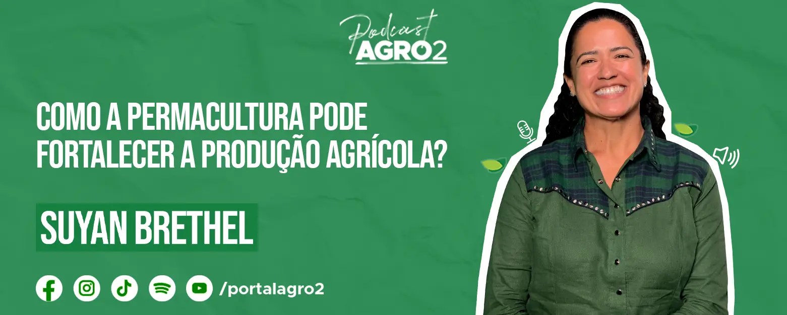 Podcast com Suyan Brethel