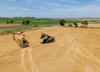 Produção de grãos no Brasil é estimada em 354,4 milhões de toneladas na safra 2025/26 7 Produção de grãos no Brasil é estimada em 354,4 milhões de toneladas na safra 2025/26