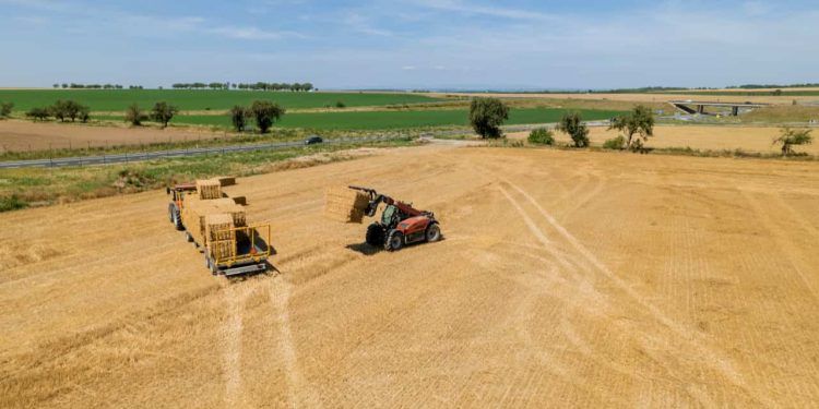 Produção de grãos no Brasil é estimada em 354,4 milhões de toneladas na safra 2025/26 1 Produção de grãos no Brasil é estimada em 354,4 milhões de toneladas na safra 2025/26