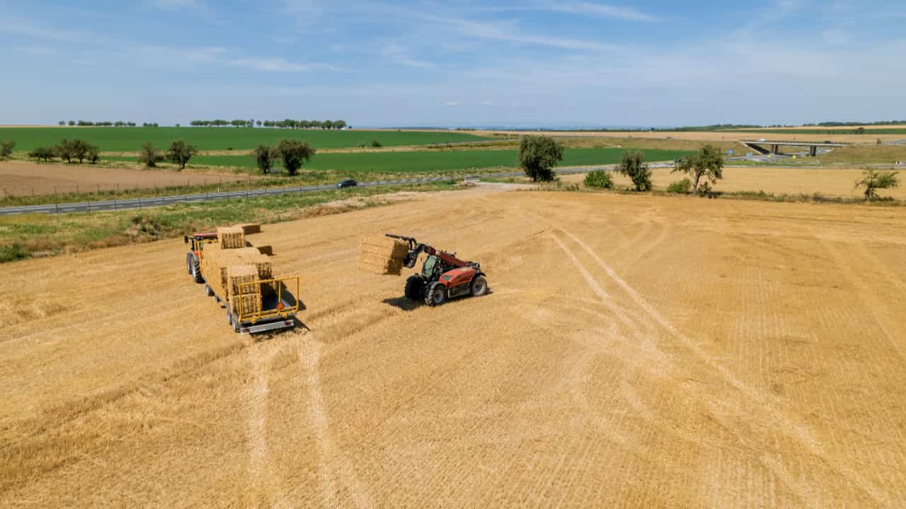 Produção de grãos no Brasil é estimada em 354,4 milhões de toneladas na safra 2025/26