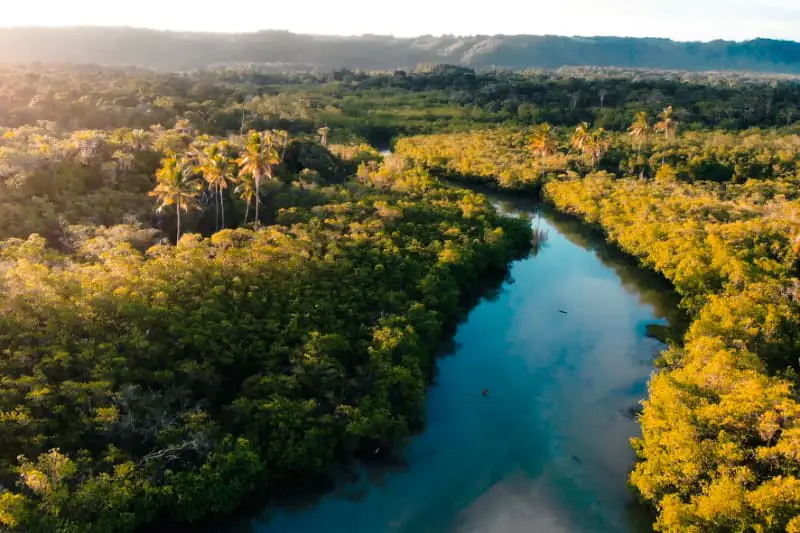 Programa Amazônia Viva destina R$ 96,6 milhões a cadeias produtivas da floresta 3 Programa Florestas e Comunidades