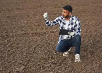 Recuperação de áreas degradadas mobiliza iniciativas para revitalizar solos no país 6 Recuperação de áreas degradadas mobiliza iniciativas para revitalizar solos no país