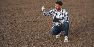 Recuperação de áreas degradadas mobiliza iniciativas para revitalizar solos no país