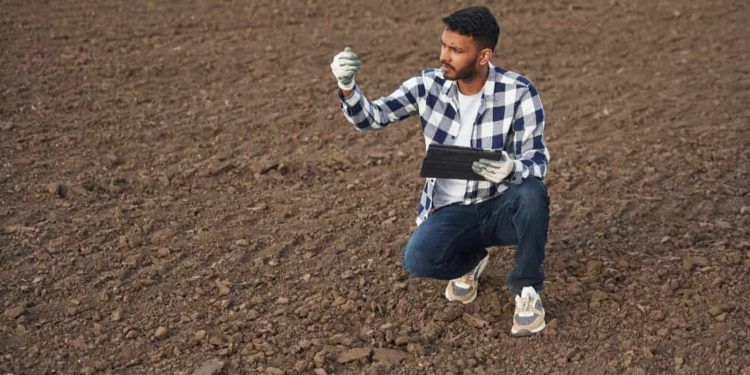 Recuperação de áreas degradadas mobiliza iniciativas para revitalizar solos no país