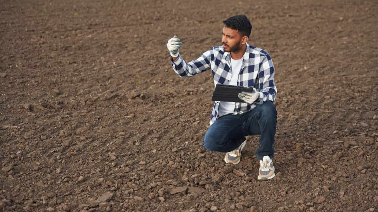 Recuperação de áreas degradadas mobiliza iniciativas para revitalizar solos no país