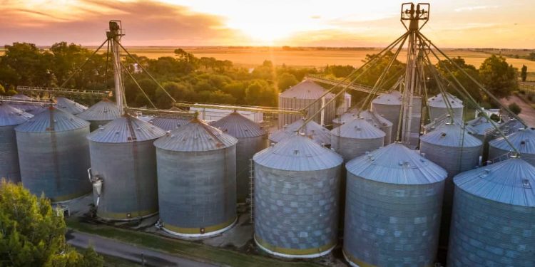 Registro de unidades armazenadoras ganha agilidade com novo sistema da Conab 1 Registro de unidades armazenadoras ganha agilidade com novo sistema da Conab