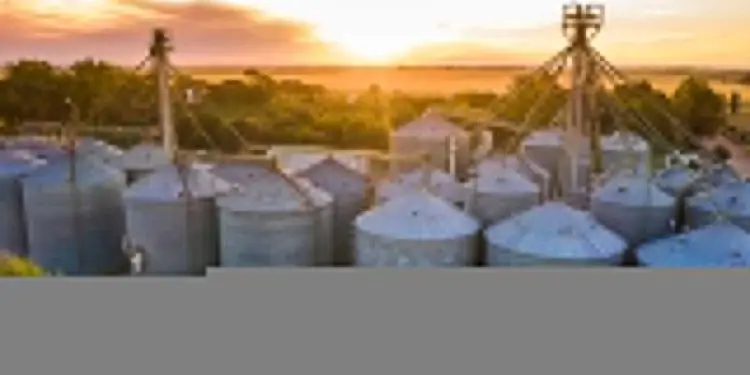 Registro de unidades armazenadoras ganha agilidade com novo sistema da Conab 1 Registro de unidades armazenadoras ganha agilidade com novo sistema da Conab