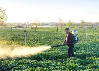 STF mantém benefícios fiscais para agrotóxicos por maioria de votos