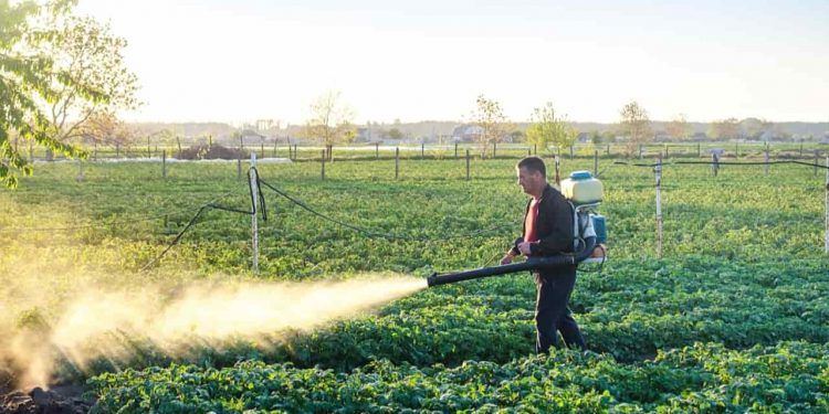 STF mantém benefícios fiscais para defensivos agrícolas por maioria de votos 1 STF mantém benefícios fiscais para agrotóxicos por maioria de votos