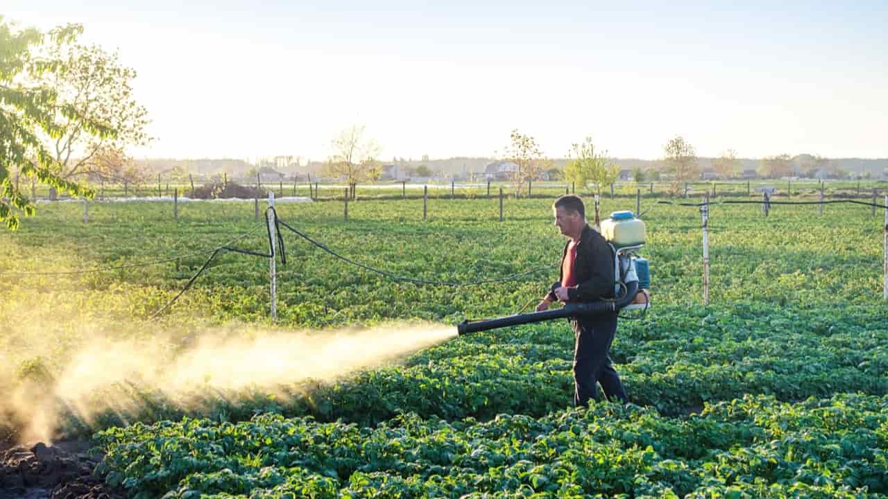 STF mantém benefícios fiscais para agrotóxicos por maioria de votos