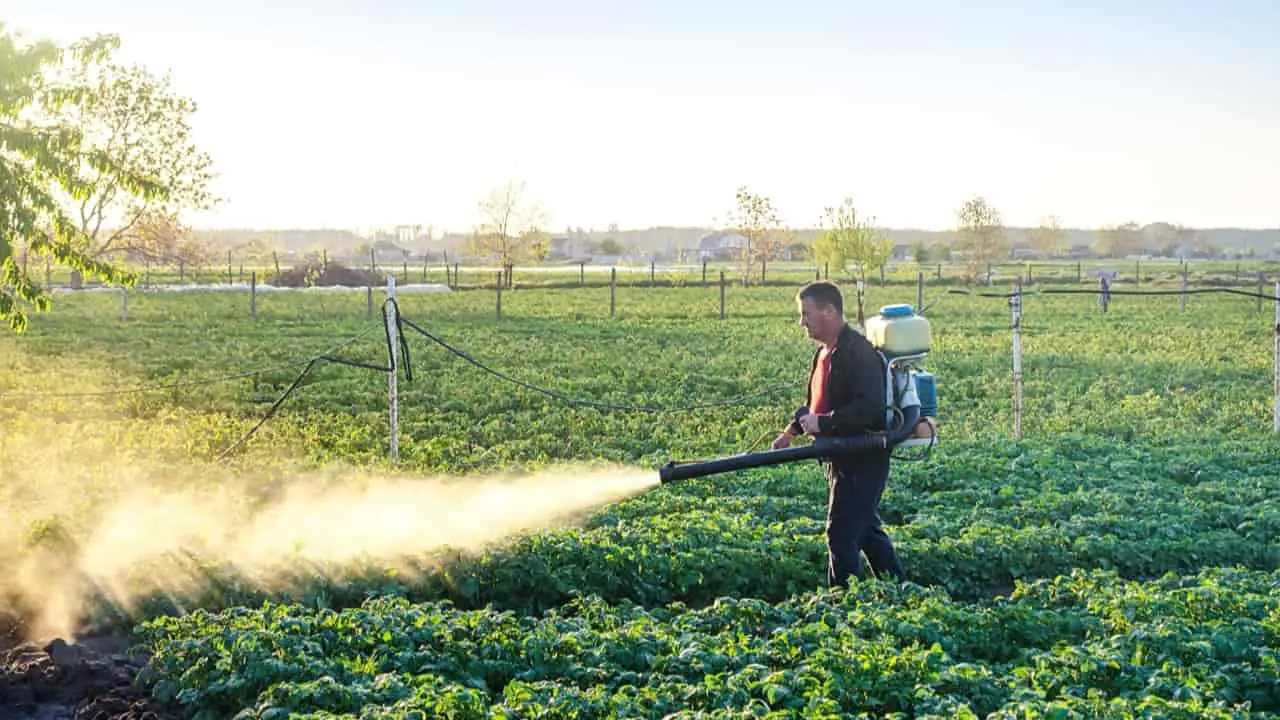 STF mantém benefícios fiscais para agrotóxicos por maioria de votos
