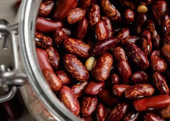 Safra brasileira de feijão deve recuar na temporada 2025/26, aponta Conab 6 Safra brasileira de feijão deve recuar na temporada 2025/26, aponta Conab