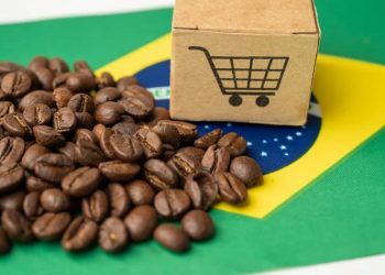 Superávit do agronegócio de São Paulo chega a US$ 21 bilhões nos primeiros meses de 2025 6 Superávit do agronegócio de São Paulo chega a US$ 21 bilhões nos primeiros meses de 2025