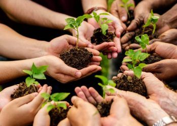 Transformação ambiental pode gerar impactos sociais significativos, aponta ONU 6 Foto: Envato