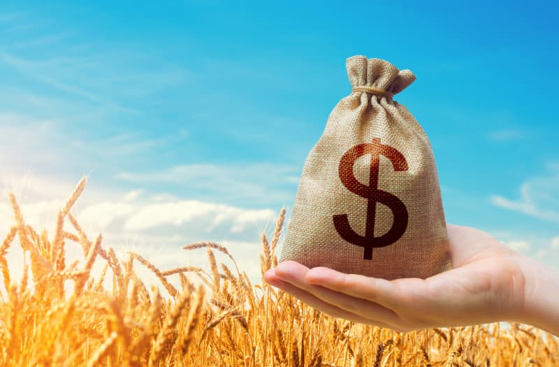 VBP da agropecuária