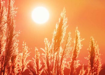 Verão começa com calor intenso e chuvas frequentes no Brasil, aponta Inmet