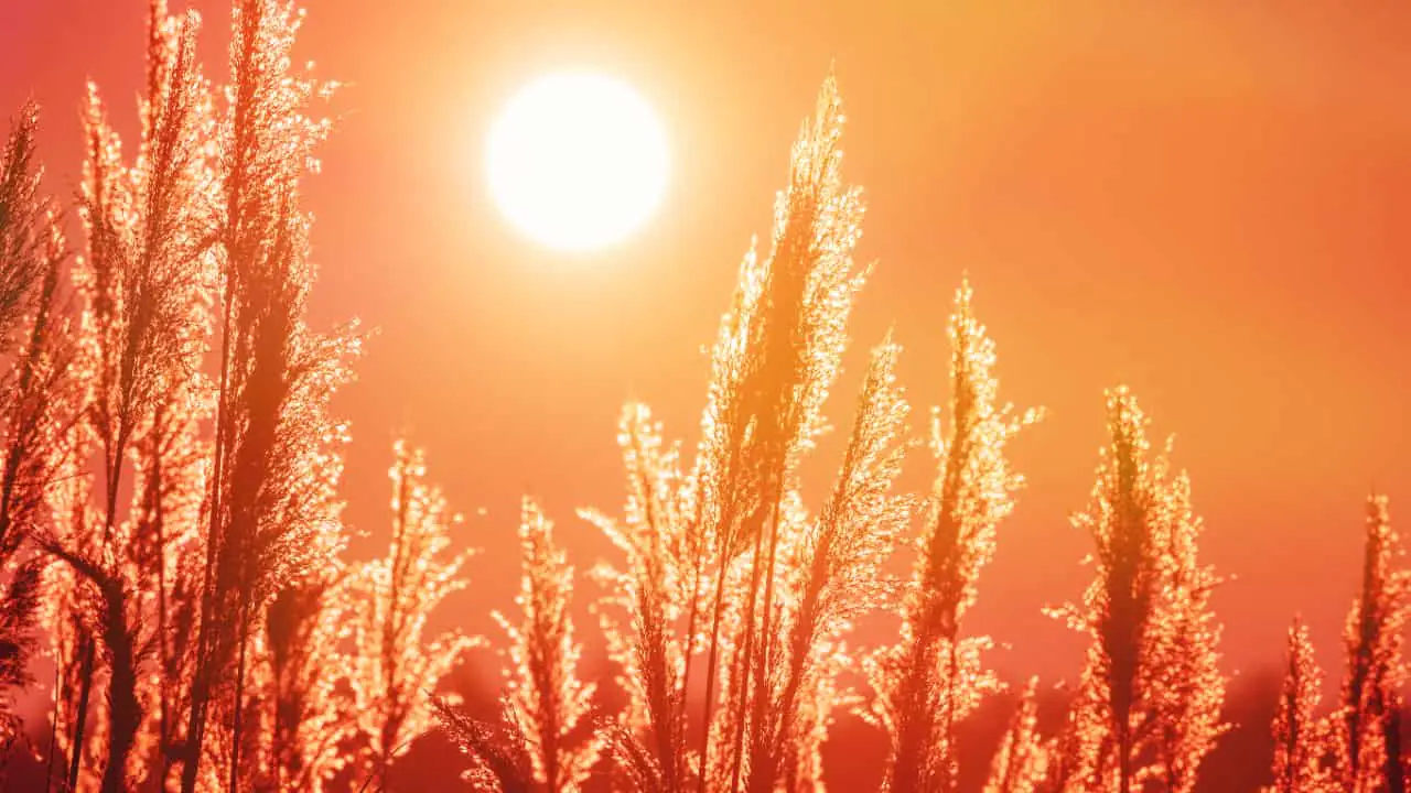 Verão começa com calor intenso e chuvas frequentes no Brasil, aponta Inmet 7 Verão começa com calor intenso e chuvas frequentes no Brasil, aponta Inmet