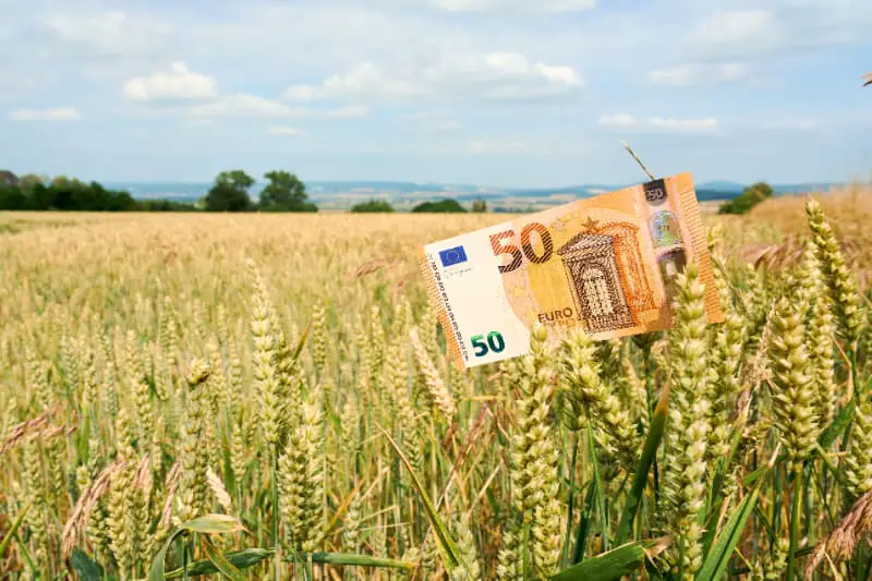 Agro em 2025
