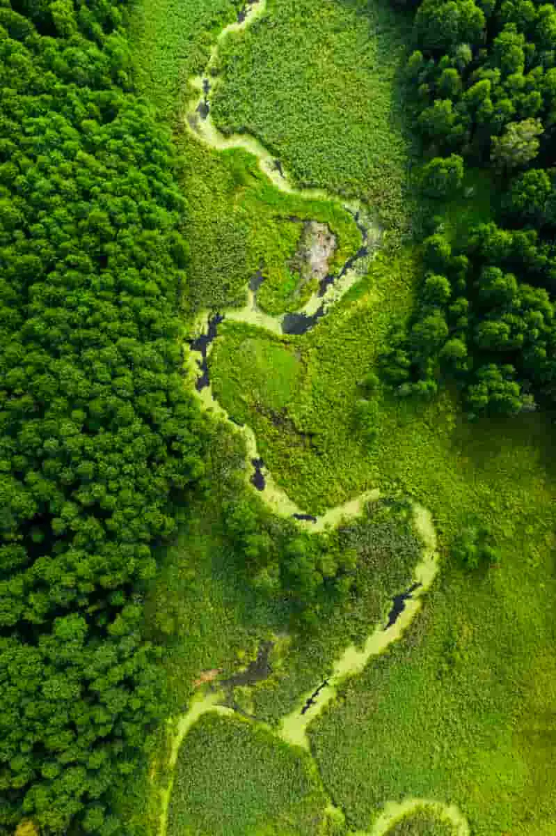 Biodiversidade