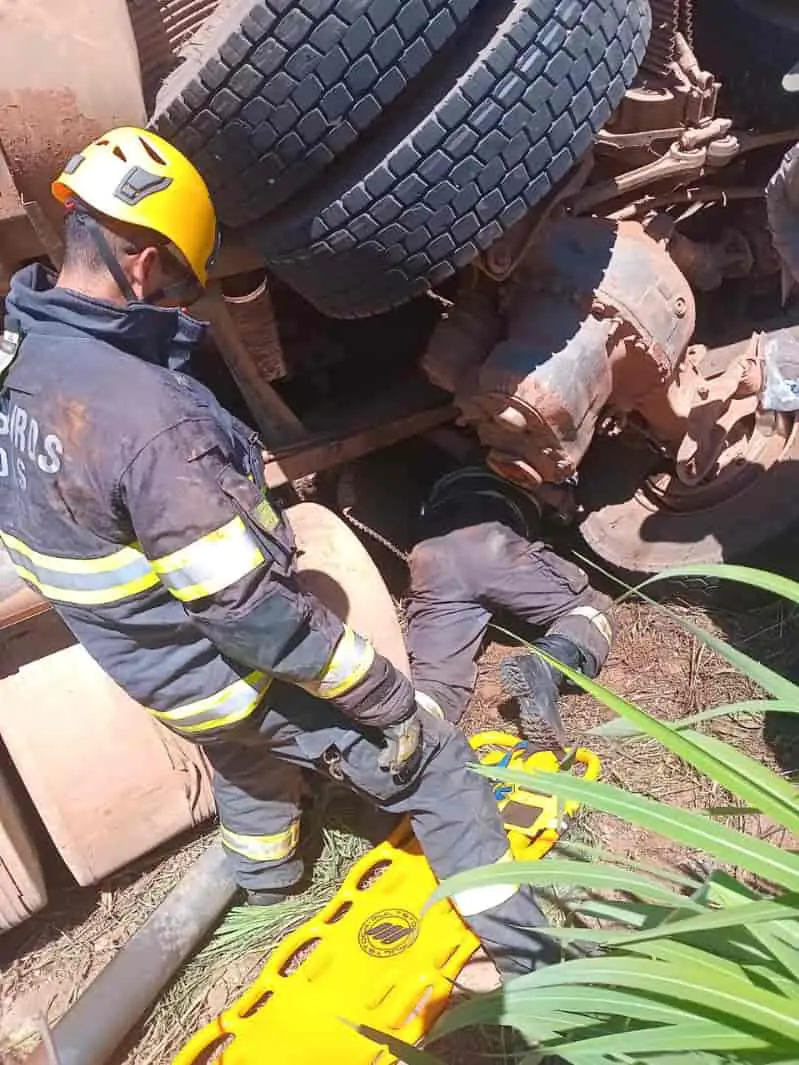 Carreta carregada com gado