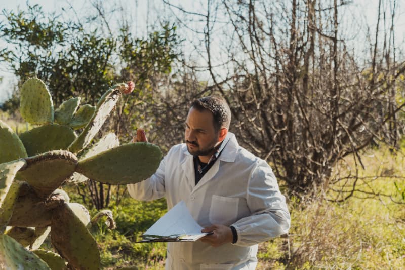 Conservação da biodiversidade