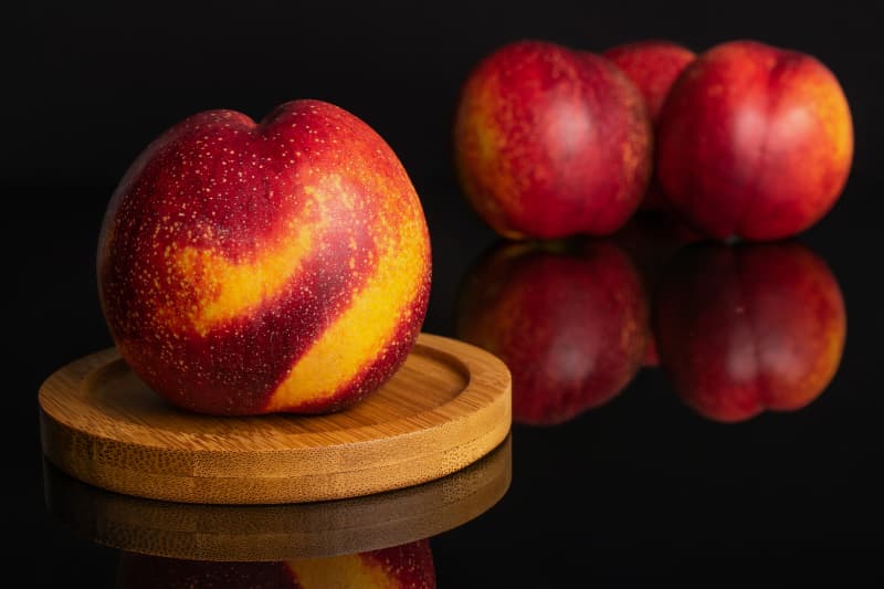 Cultivar de nectarina