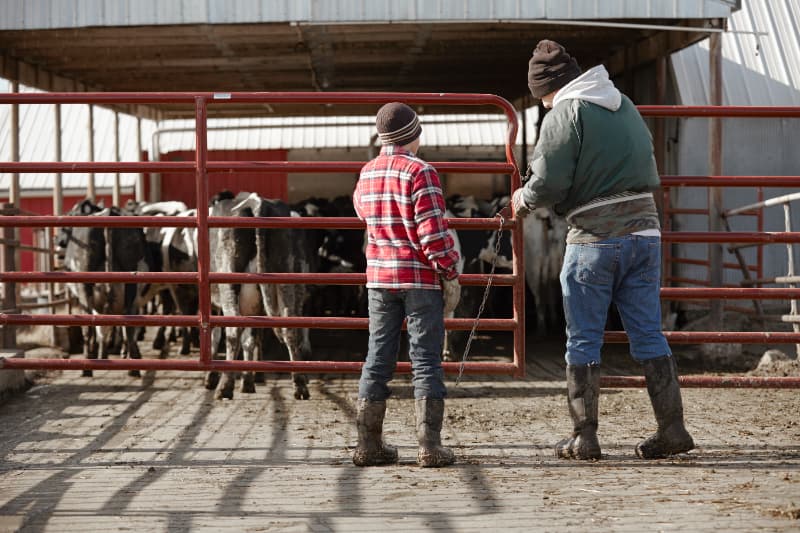 Eventos agropecuários