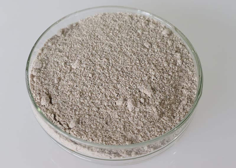 Castanha-do-brasil ganha espaço como nova fonte de proteína vegetal no país 2 Farinha de castanha do Brasil