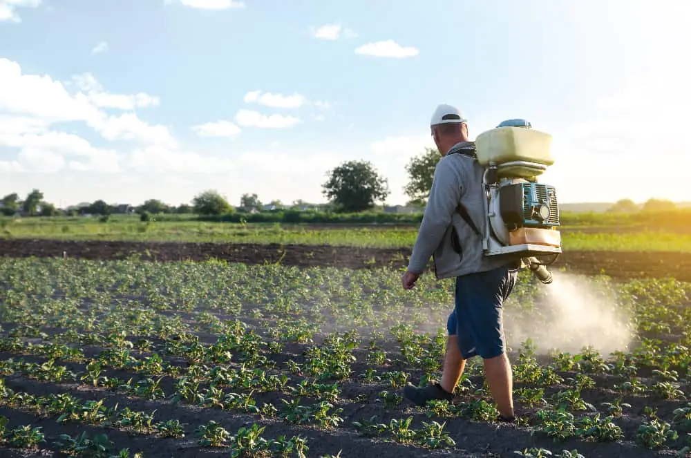 fertilizantes