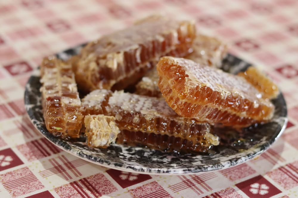 Goiás publica novo edital para melhoria de agroindústrias de pequeno porte 2 Goiás publica novo edital para melhoria de agroindústrias de pequeno porte