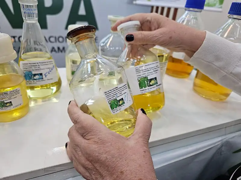 Óleos da cultivar