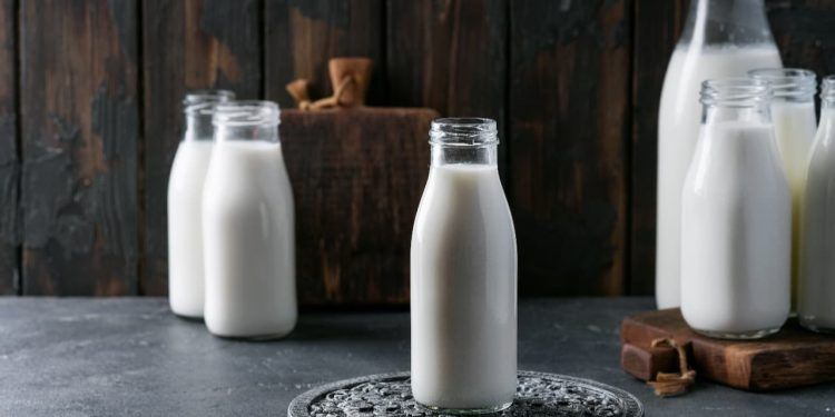 Preço do leite no RS recua em dezembro, mas desaceleração indica possível recuperação em 2026 1 Preço do leite no RS recua em dezembro, mas desaceleração indica possível recuperação em 2026