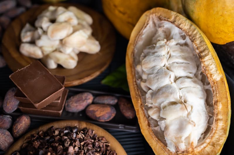 Mapa publica novos preços mínimos para produtos extrativos em 2026 3 produtos extrativistas