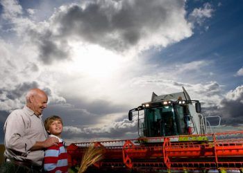 Agricultura familiar em Goiás recebe mais de R$ 80 milhões em investimentos em 2025