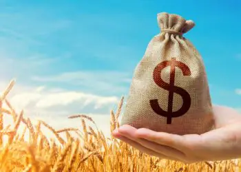 Agropecuária lidera avanço da economia goiana e puxa alta do PIB em 2025