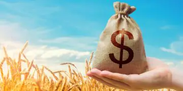 Agropecuária lidera avanço da economia goiana e puxa alta do PIB em 2025