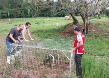 Análises revelam contaminação em poços rurais afetados por enchentes no RS