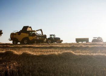 Balança comercial de Goiás fecha 2025 com superávit acima de US$ 8 bilhões