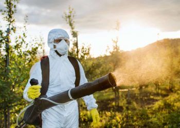 Brasil bate recorde de registros de bioinsumos e amplia portfólio fitossanitário em 2025