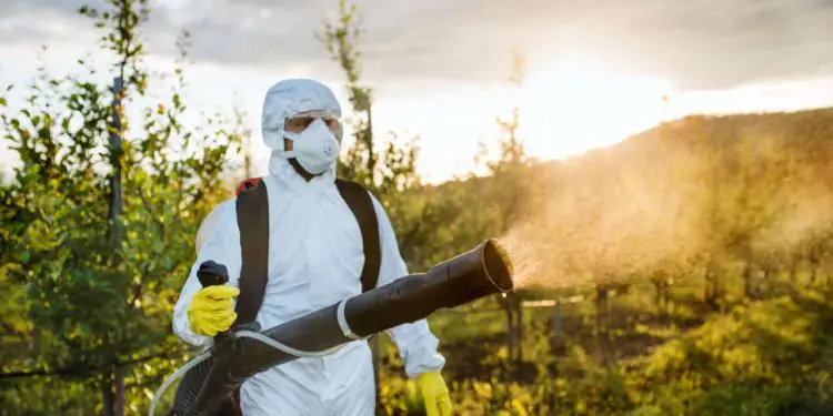 Brasil bate recorde de registros de bioinsumos e amplia portfólio fitossanitário em 2025 1 Brasil bate recorde de registros de bioinsumos e amplia portfólio fitossanitário em 2025