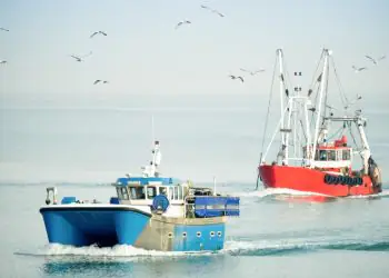 Brasil exigirá certificado para produtos pesqueiros aos EUA em 2026