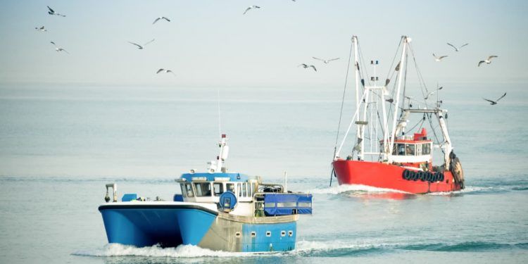 EUA exigirá certificado para produtos pesqueiros brasileiros em 2026 1 Brasil exigirá certificado para produtos pesqueiros aos EUA em 2026