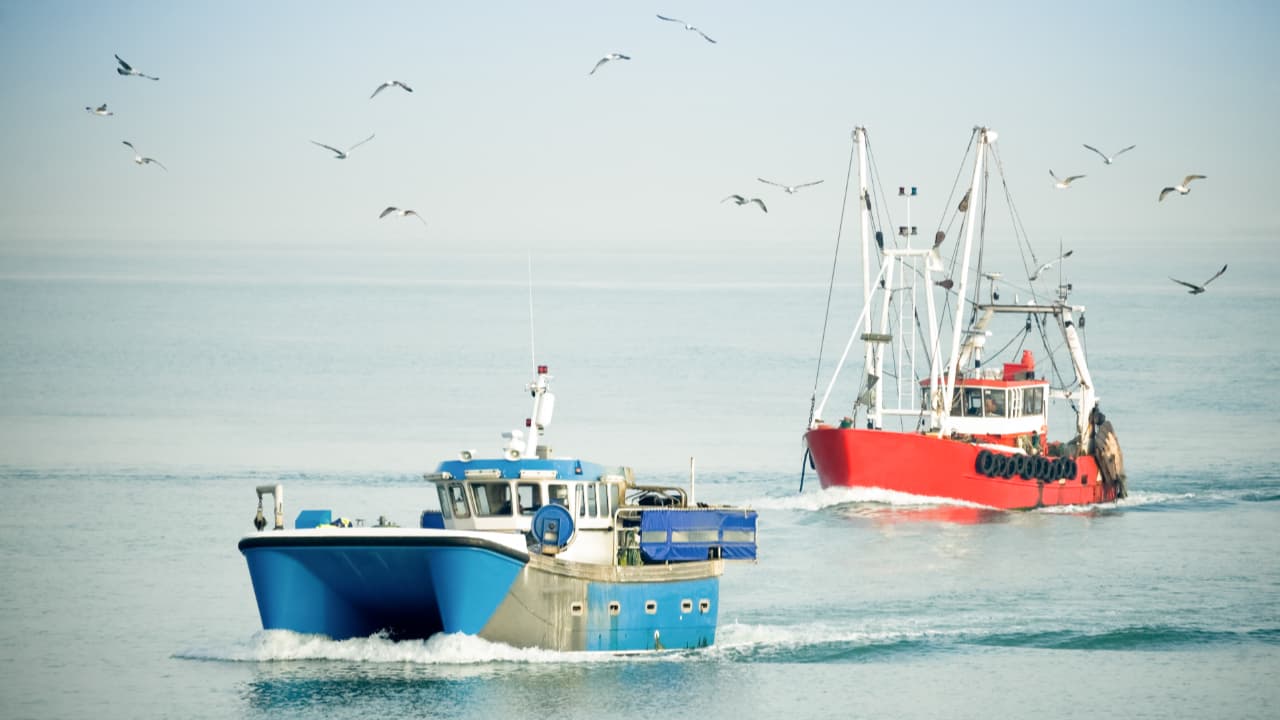 EUA exigirá certificado para produtos pesqueiros brasileiros em 2026