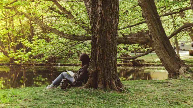 Brasileiros buscam silencio e natureza impulsionam o turismo de desconexao