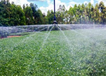 CNA pede autonomia do produtor na definição do desconto de energia no campo 6 CNA pede autonomia do produtor na definição do desconto de energia no campo