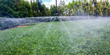 CNA pede autonomia do produtor na definição do desconto de energia no campo