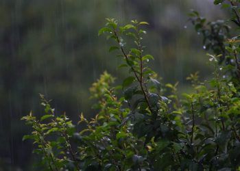 Dezembro de 2025 tem chuva acima da média em grande parte do Brasil, aponta Inmet 6 Dezembro de 2025 tem chuva acima da média em grande parte do Brasil, aponta Inmet