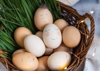 Exportações brasileiras de ovos batem recorde e mais que dobram em 2025